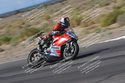 media/Oct-01-2023-SoCal Trackdays (Sun) [[4c570cc352]]/Turn 14 Side (1135am)/